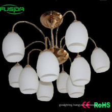 Decorative Glass Pendant Lamp/Chandelier Lighting (X-8106/5+5)